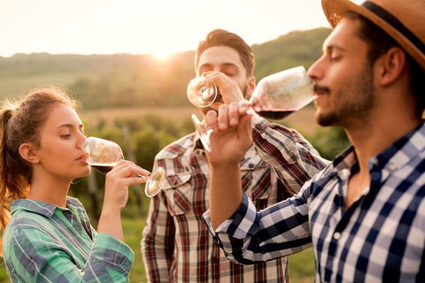 All-inclusive Morning Wine Tour In Orange - Broome Tourism 0