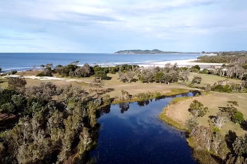 Coffee Farm Tour And Workshop, Byron Bay Hinterland - Broome Tourism 3