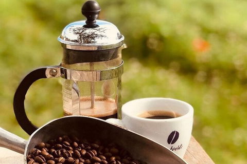 Coffee Farm Tour And Workshop, Byron Bay Hinterland - Broome Tourism 0