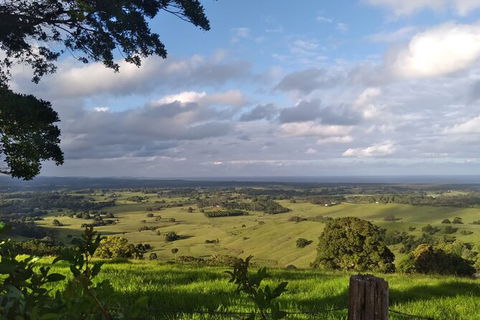Coffee Farm Tour And Workshop, Byron Bay Hinterland - Broome Tourism 4