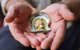 Australian Pearl Experience & Kangaroo Encounter Day Trip From Sydney - thumb 3