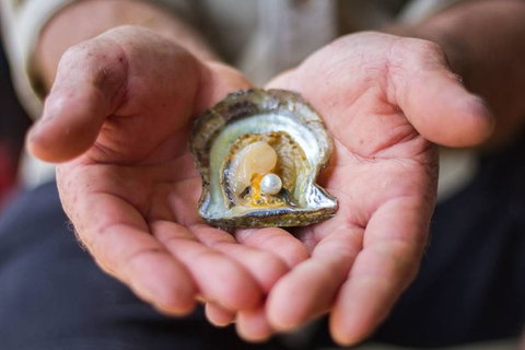 Australian Pearl Experience & Kangaroo Encounter Day Trip From Sydney - Broome Tourism 3