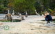 Australian Pearl Experience & Kangaroo Encounter Day Trip From Sydney - thumb 4