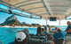 Julian Rocks Byron Bay Cruise - thumb 13