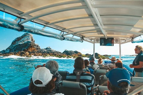 Julian Rocks Byron Bay Cruise - Broome Tourism 13
