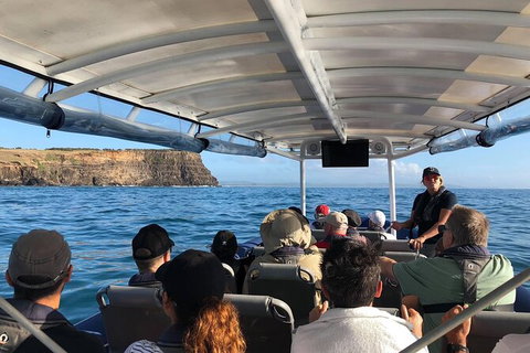 Julian Rocks Byron Bay Cruise - Broome Tourism 5