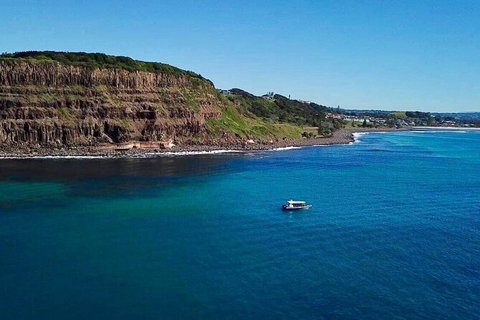 Julian Rocks Byron Bay Cruise - Broome Tourism 6