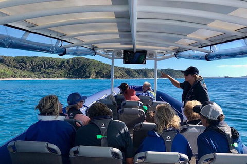 Julian Rocks Byron Bay Cruise - Broome Tourism 11