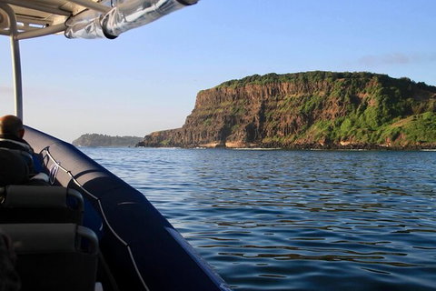 Julian Rocks Byron Bay Cruise - Broome Tourism 17