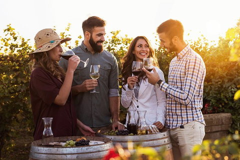 Hunter Valley Highlights Private Wine Tour From Sydney - Broome Tourism 0