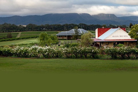 Hunter Valley Highlights Private Wine Tour From Sydney - Broome Tourism 5
