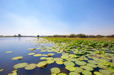 Jumping Crocs & Nature Adventure Cruise From Darwin - Broome Tourism 8