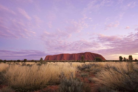 Explore Uluru: 7 Hours Guide Tour At Sunrise With Light Breakfast - Broome Tourism 4