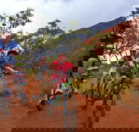 From Yulara Discover Uluru Half Day Bike Tour - Broome Tourism