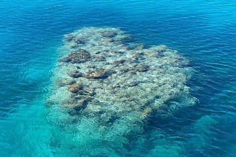 Lady Musgrave Day Trip From Bundaberg Including Snorkeling, Glass Bottom Tour And Guided Island Walk - Broome Tourism 2