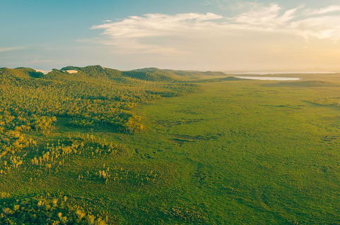 Everglades Eco Safari To Australia\'s Everglades - Broome Tourism 14