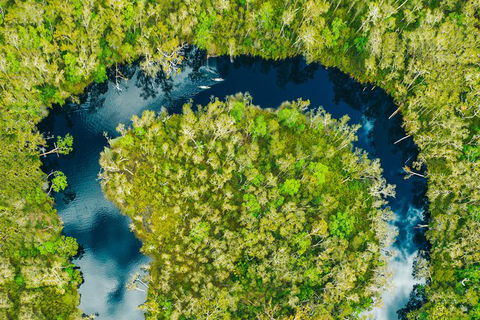 Everglades Eco Safari To Australia\'s Everglades - Broome Tourism 8