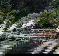 Everglades Eco Safari to Australia's Everglades - Broome Tourism