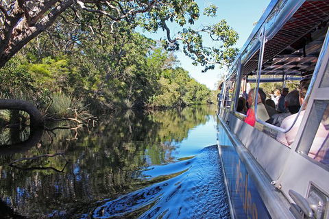 Everglades Eco Safari To Australia\'s Everglades - Broome Tourism 4