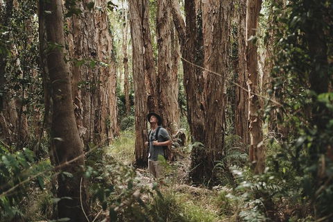 Everglades Eco Safari To Australia\'s Everglades - Broome Tourism 7