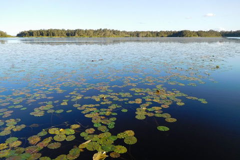 Everglades Eco Safari To Australia\'s Everglades - Broome Tourism 5