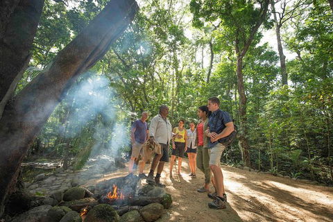 Aboriginal Cultural Daintree Rainforest Tour From Cairns Or Port Douglas - Broome Tourism 3