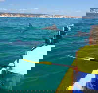 Kayak with Dolphins and 4WD Great Beach Drive Day Trip from Noosa - Broome Tourism