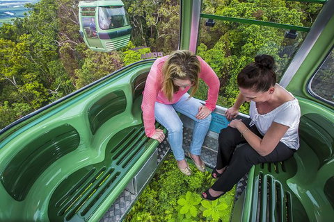 8-Day Cairns Tour: Great Barrier Reef, Kuranda, Daintree Rainforest - Broome Tourism 1