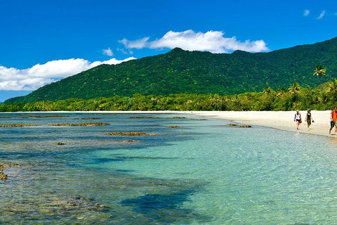 8-Day Cairns Tour: Great Barrier Reef, Kuranda, Daintree Rainforest - Broome Tourism 4