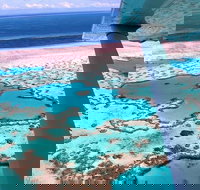 8-Day Cairns Tour Great Barrier Reef Kuranda Daintree Rainforest - Broome Tourism