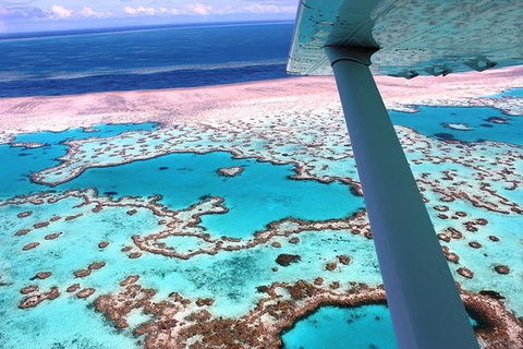 8-Day Cairns Tour: Great Barrier Reef, Kuranda, Daintree Rainforest - Broome Tourism 0
