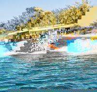 Gold Coast Quack'rDuck Amphibious Tour from Surfers Paradise - Broome Tourism