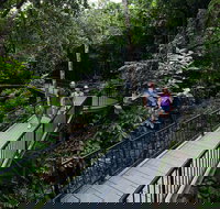 4-Day Cairns with Great Barrier Reef and Daintree Rainforest - Broome Tourism