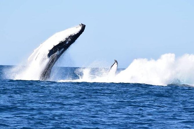 Noosa QLD Broome Tourism