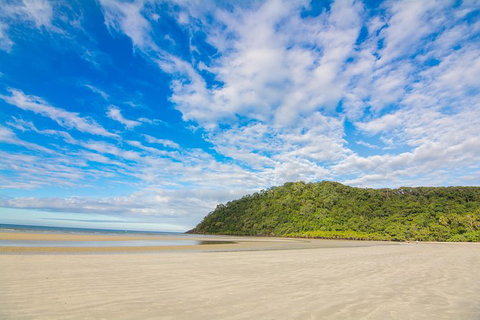 Daintree Afternoon Nocturnal Nature And Wildlife Tour - Broome Tourism 8