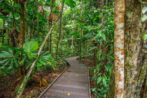 Daintree Afternoon Nocturnal Nature And Wildlife Tour - Broome Tourism 9