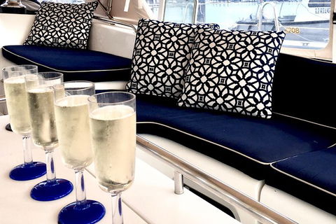MiLady One Day Whitsunday Private Charter - Broome Tourism 7