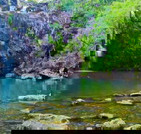 Reef Wildlife  Rainforest - Reef  Beyond Guided Holidays - Broome Tourism