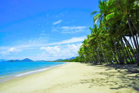 Airport Transfer - Palm Cove, Kewarra Beach & Trinity Beach To Cairns Airport - Broome Tourism 2