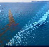 2-Night Whitsunday Islands Sailing Adventure on Trimaran 'Avatar' - Broome Tourism
