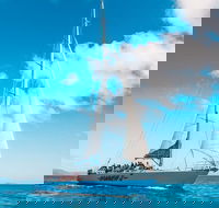 3 Day and 2 Night Whitsundays Maxi Sailing Adventure on Hammer - Broome Tourism