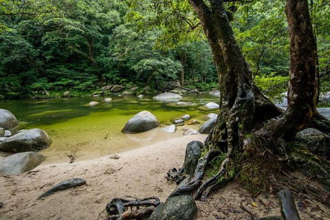 Port Douglas Daintree National Park Boutique Full-Day Tour - Broome Tourism 5