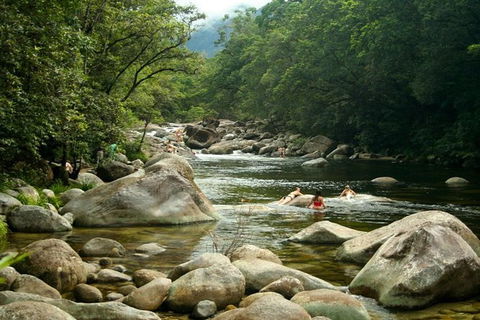 Port Douglas Daintree National Park Boutique Full-Day Tour - Broome Tourism 2