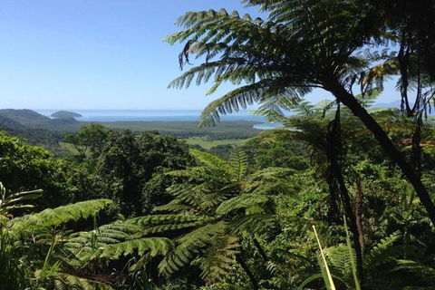 Port Douglas Daintree National Park Boutique Full-Day Tour - Broome Tourism 1