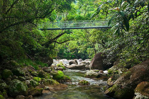 SHUTTLE - Mossman Gorge & Cooya Beach From Port Douglas (Return Transfer) - Broome Tourism 4