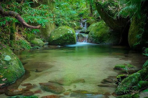 SHUTTLE - Mossman Gorge & Cooya Beach From Port Douglas (Return Transfer) - Broome Tourism 2