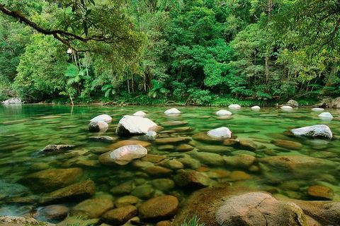 SHUTTLE - Mossman Gorge & Cooya Beach From Port Douglas (Return Transfer) - Broome Tourism 3