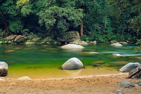 SHUTTLE - Mossman Gorge & Cooya Beach From Port Douglas (Return Transfer) - Broome Tourism 1