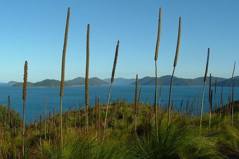 7-Day Private Sea Kayaking In Whitsundays - Broome Tourism 8