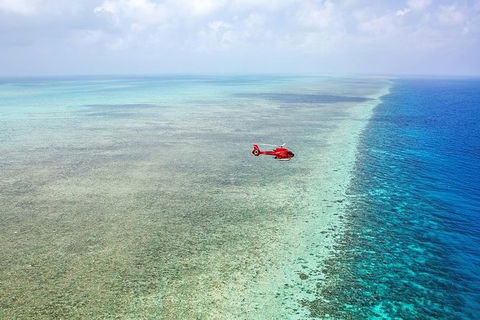 Day Tour To Kuranda, Rainforest And Port Douglas With Flight - Broome Tourism 3